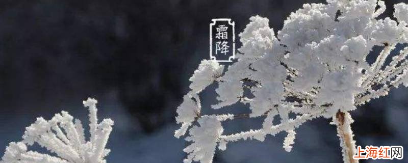 霜降是什么季节的节气