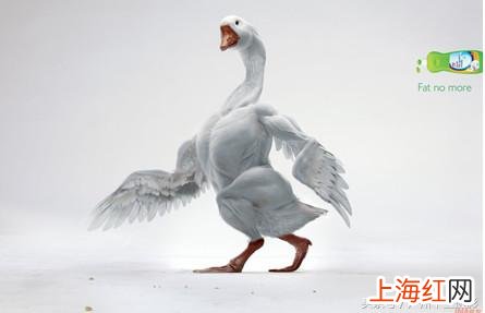 经典广告创意短文案 有创意的广告文案语