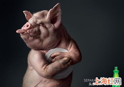经典广告创意短文案 有创意的广告文案语