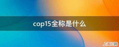 cop15全称是什么