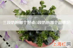 3段奶粉哪个品牌好 三段奶粉哪个好点