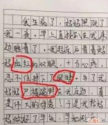 爆笑作业气死老师 气死老师的作文