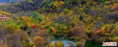 松坪沟在四川什么地方