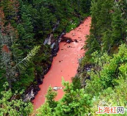 民间奇闻怪事故事 世界奇闻异事视频