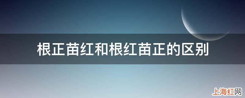 根正苗红和根红苗正的区别