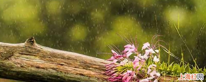 雨水量毫米是什么意思