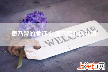 红康乃馨花的花语 康乃馨的象征