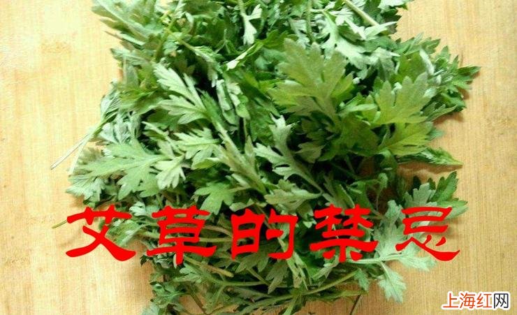 艾草的功效与作用主治什么病 艾草的功效和作用和禁忌