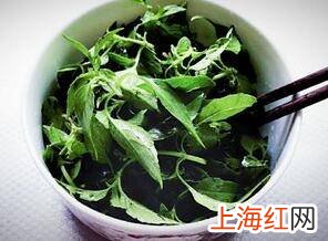 荆芥怎么吃