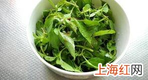 荆芥怎么吃