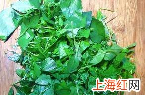 荆芥怎么吃