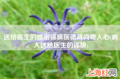 病人送给医生的锦旗 送给医生的感谢锦旗医德高尚暖人心