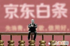 京东白条逾期一天影响征信吗 京东白条逾期一天会上征信报告吗_