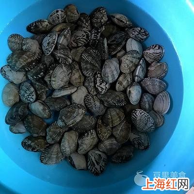 花甲怎么爆炒才好吃 炒花甲怎样炒