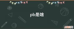 pb是啥