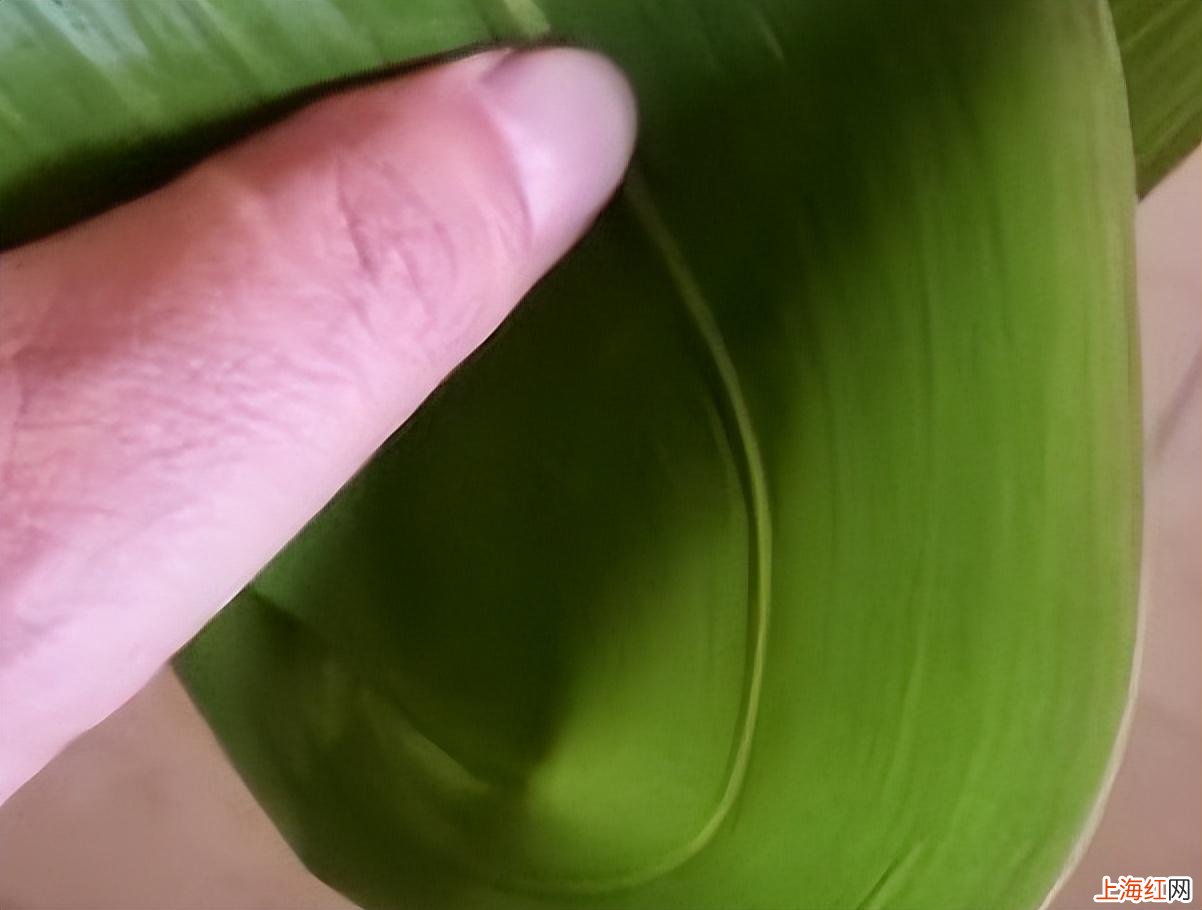 新手包粽子的简易方法 包粽子的详细方法