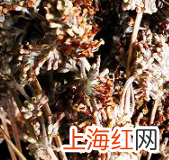 黄色糯米饭怎么做