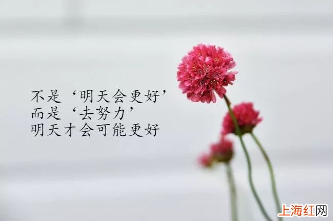 句子唯美短句朋友圈 快乐短句说说心情