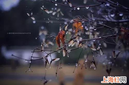 烟雨蒙蒙唯美心情句子 三月烟雨蒙蒙优美句子