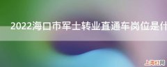 2022海口市军士转业直通车岗位是什么