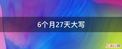 6个月27天大写