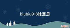 biubiu918啥意思