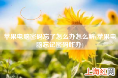 苹果电脑忘记密码咋办 苹果电脑密码忘了怎么办怎么解