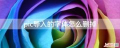 pic导入的字体怎么删掉