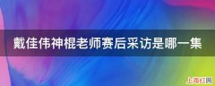 戴佳伟神棍老师赛后采访是哪一集