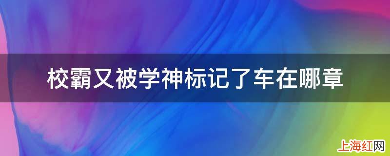 校霸又被学神标记了车在哪章