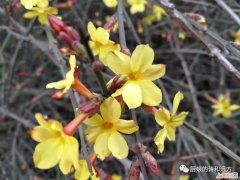 几月八日妇女节 三八妇女节的由来和意义