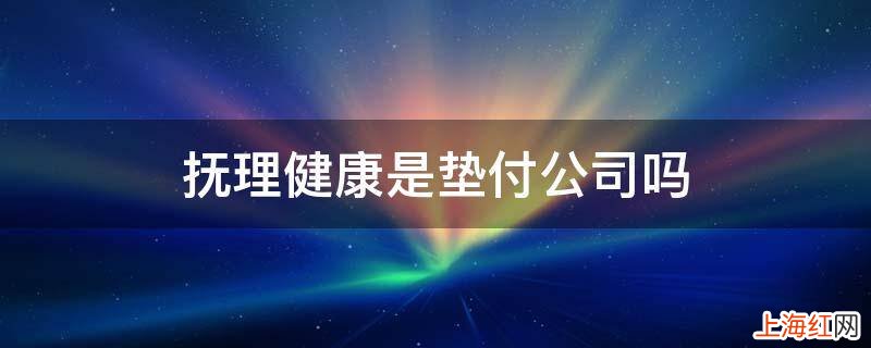 抚理健康是垫付公司吗