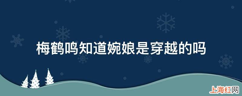 梅鹤鸣知道婉娘是穿越的吗