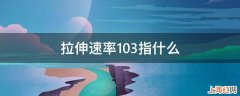 拉伸速率103指什么