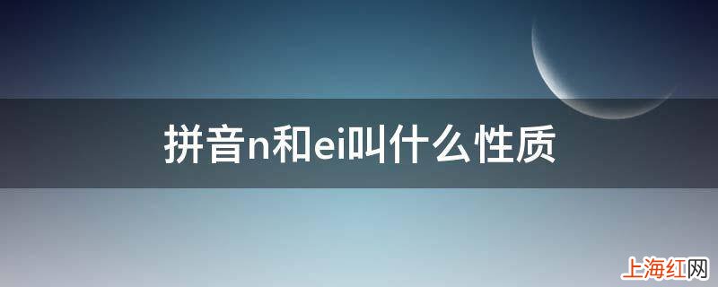 拼音n和ei叫什么性质