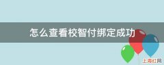 怎么查看校智付绑定成功