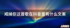 戒掉你这首歌在抖音里有什么文案