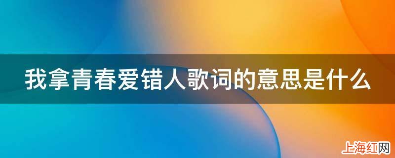 我拿青春爱错人歌词的意思是什么