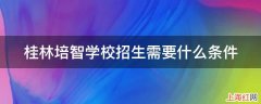 桂林培智学校招生需要什么条件