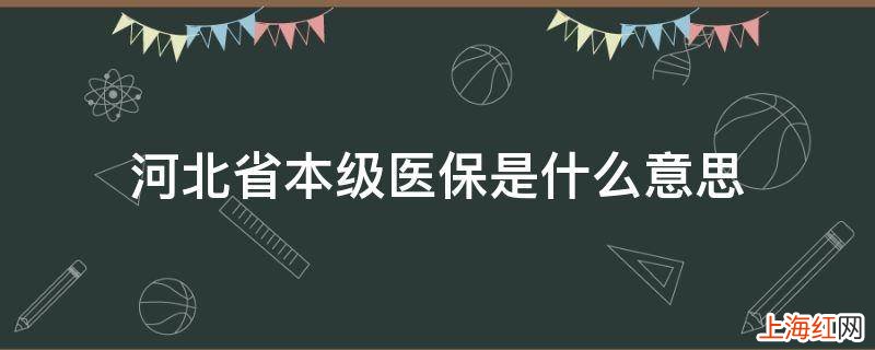 河北省本级医保是什么意思