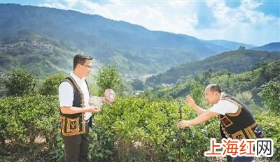 陈卞村第一书记是谁 第一书记是干嘛的