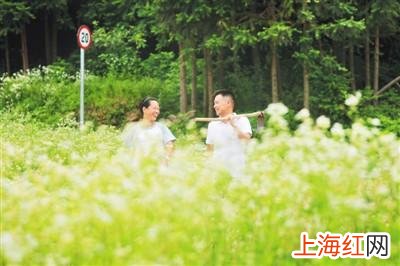 陈卞村第一书记是谁 第一书记是干嘛的