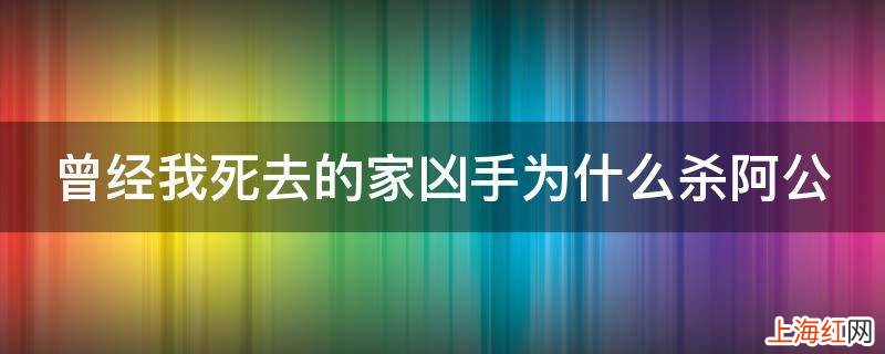 曾经我死去的家凶手为什么杀阿公