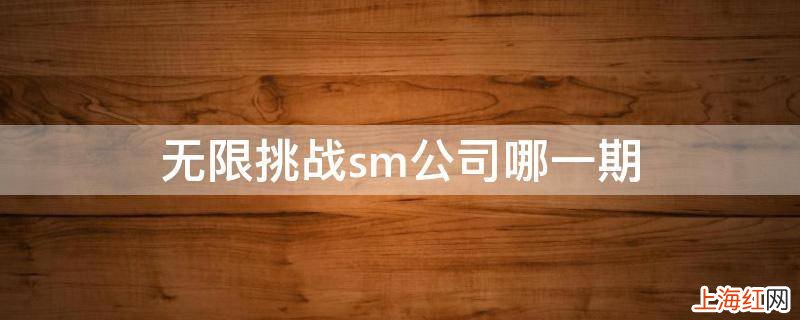 无限挑战sm公司哪一期