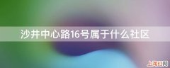 沙井中心路16号属于什么社区