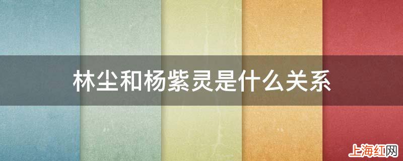 林尘和杨紫灵是什么关系