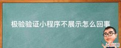 极验验证小程序不展示怎么回事