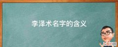 李泽术名字的含义