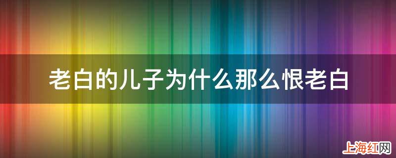 老白的儿子为什么那么恨老白