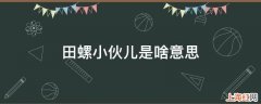 田螺小伙儿是啥意思